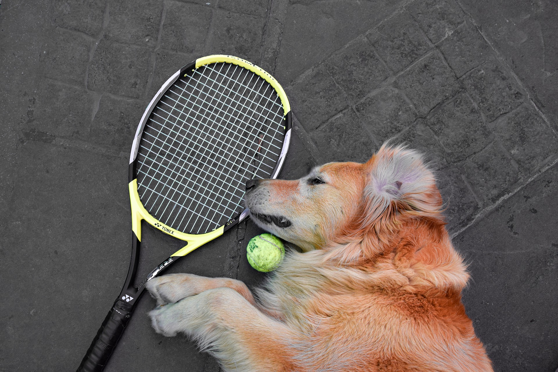 テニス・健康